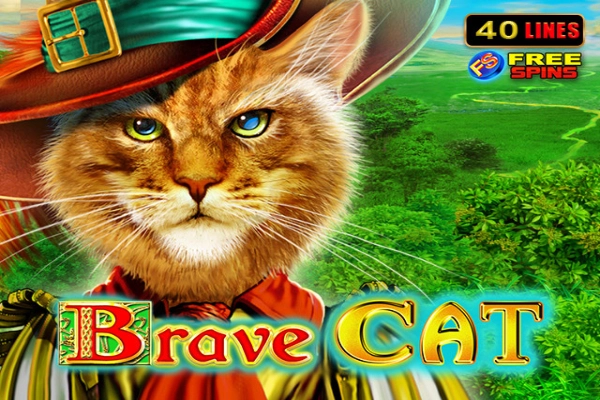 00574 brave cat